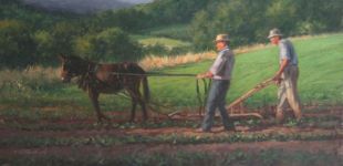 Between the Rows