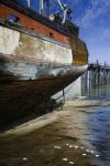 Hauled Out