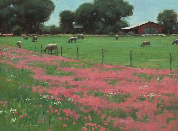 Spring Flowers