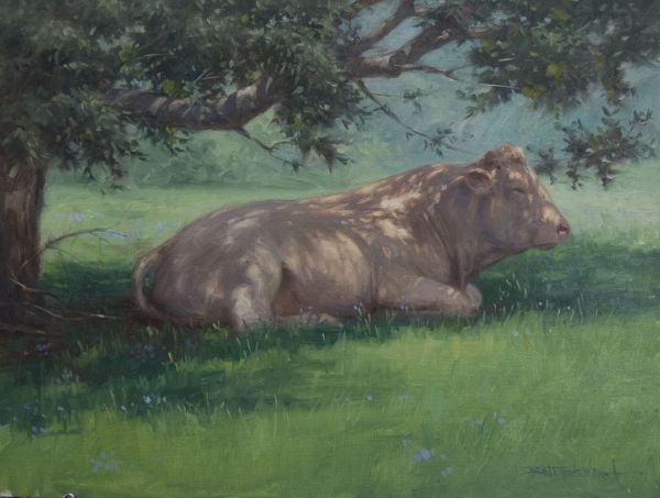 Summer Siesta
