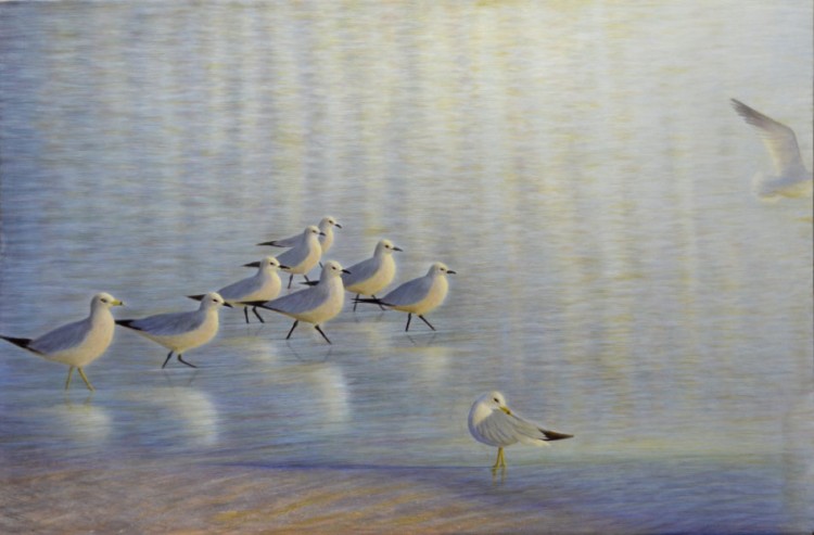 Ten for a Bird