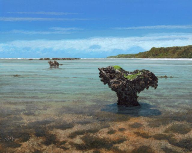 Inside the Reef