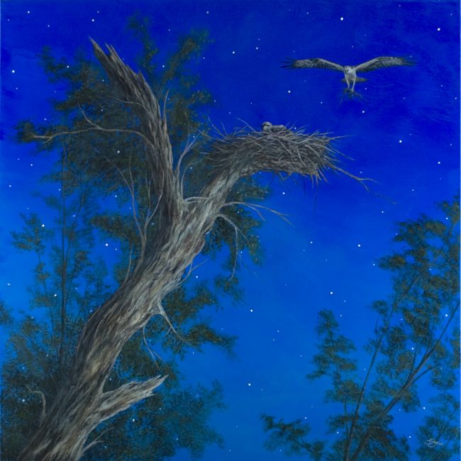 Some Enchanted Evening