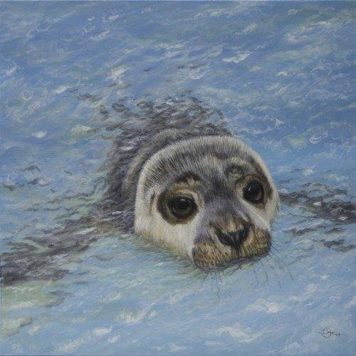 Swim Time