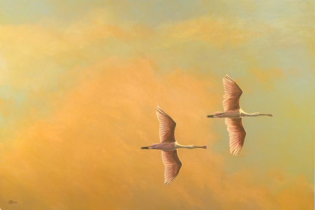 Wings on the Wind