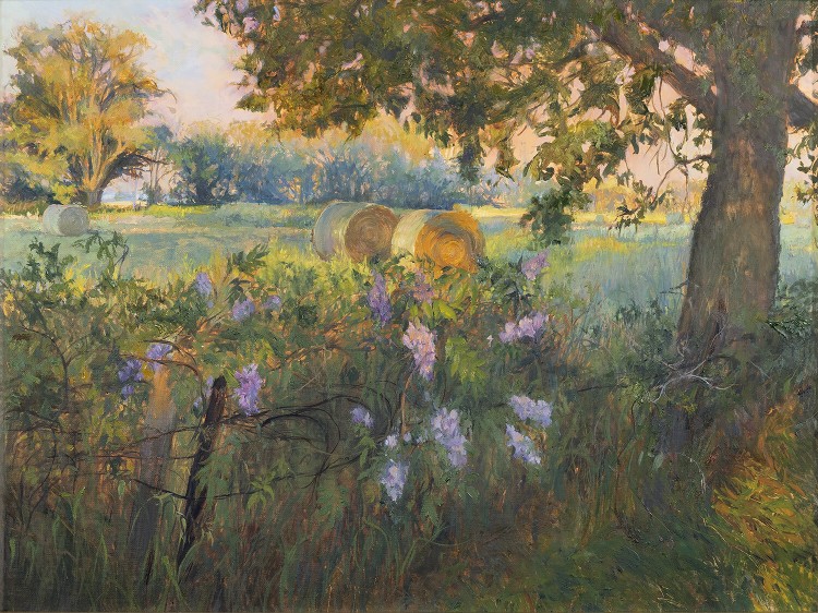 Alfalfa and Wisteria