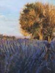 Lavender's Gold