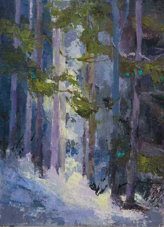 Forest Light